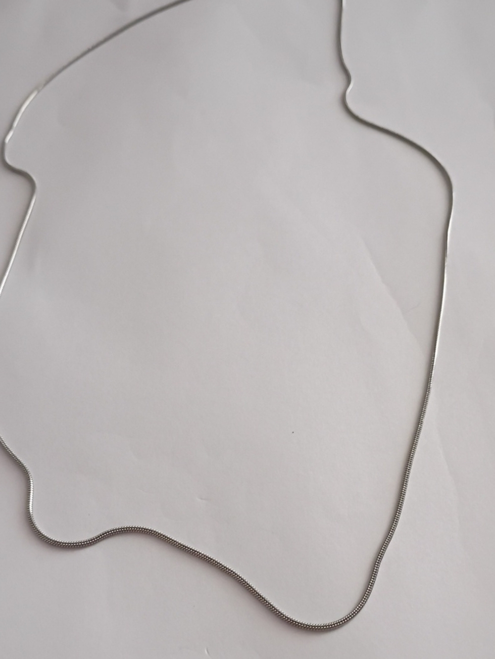Silver Snake Chain Necklace